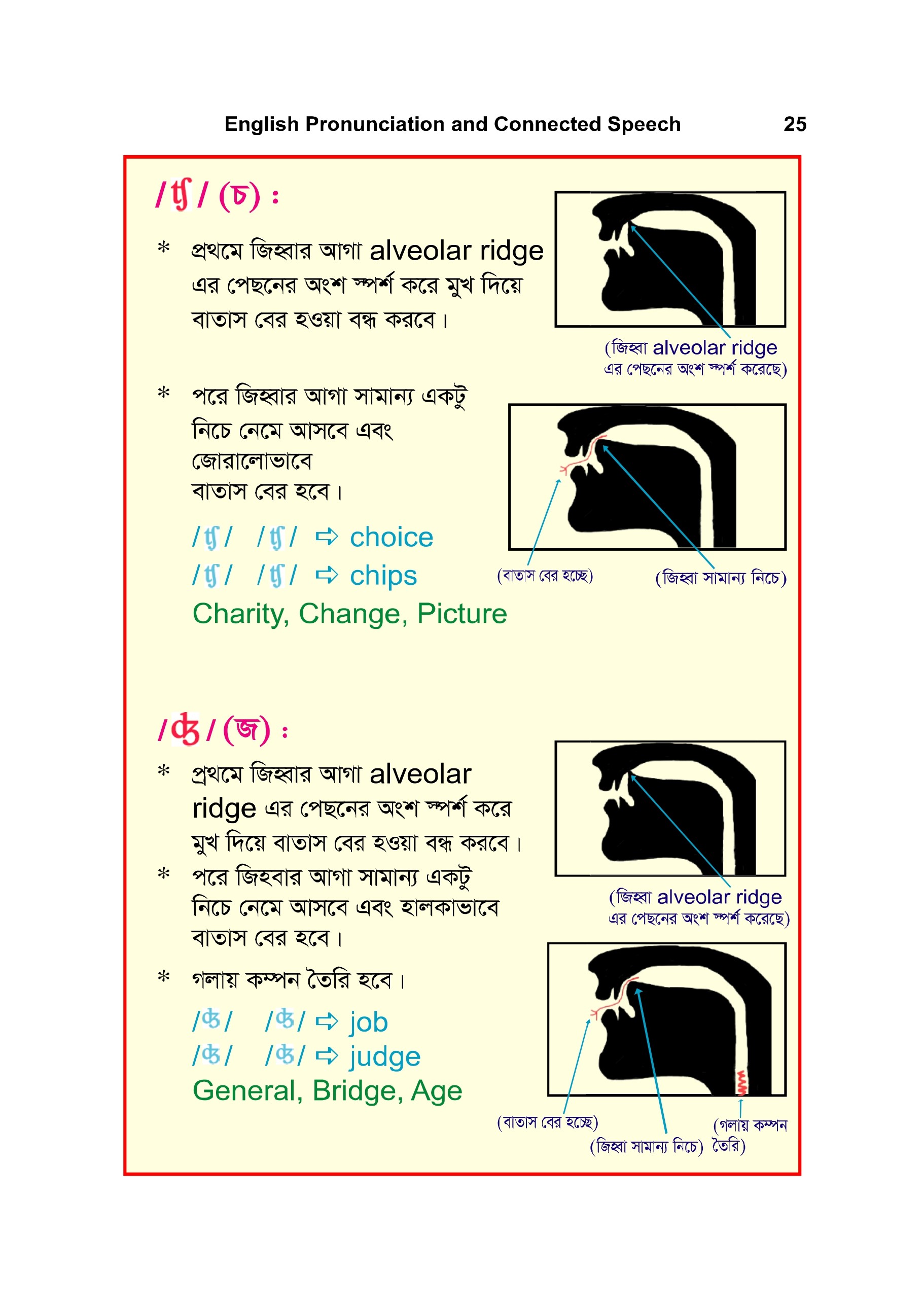 Book Pages